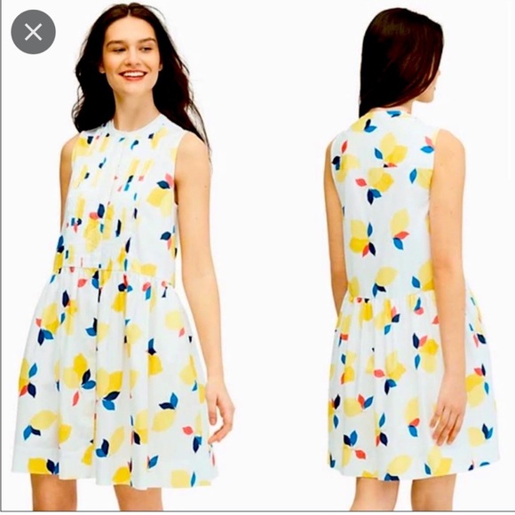 kate spade Dresses & Skirts - Kate Spade Lemon Zest Shirtdress Size Small - New With Tags Adorable Sun Dress